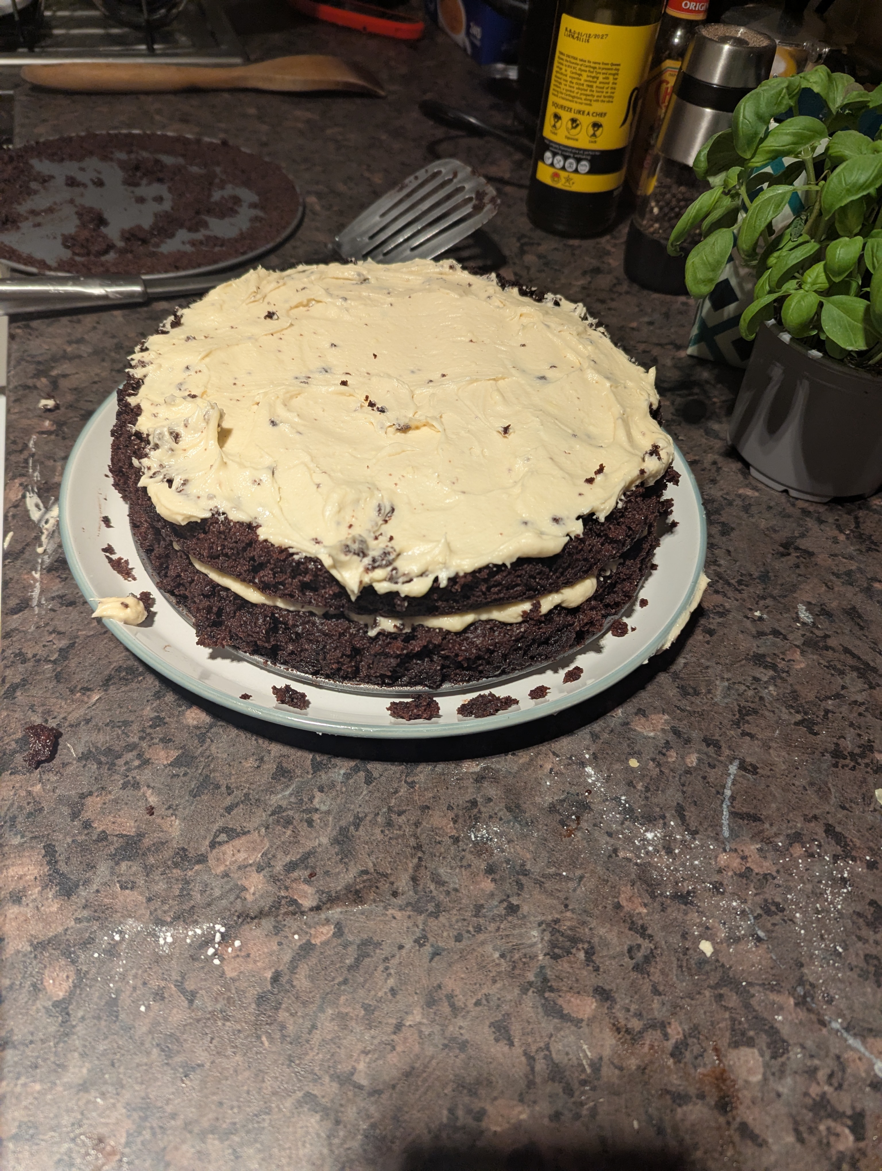 Chocolate mint cake